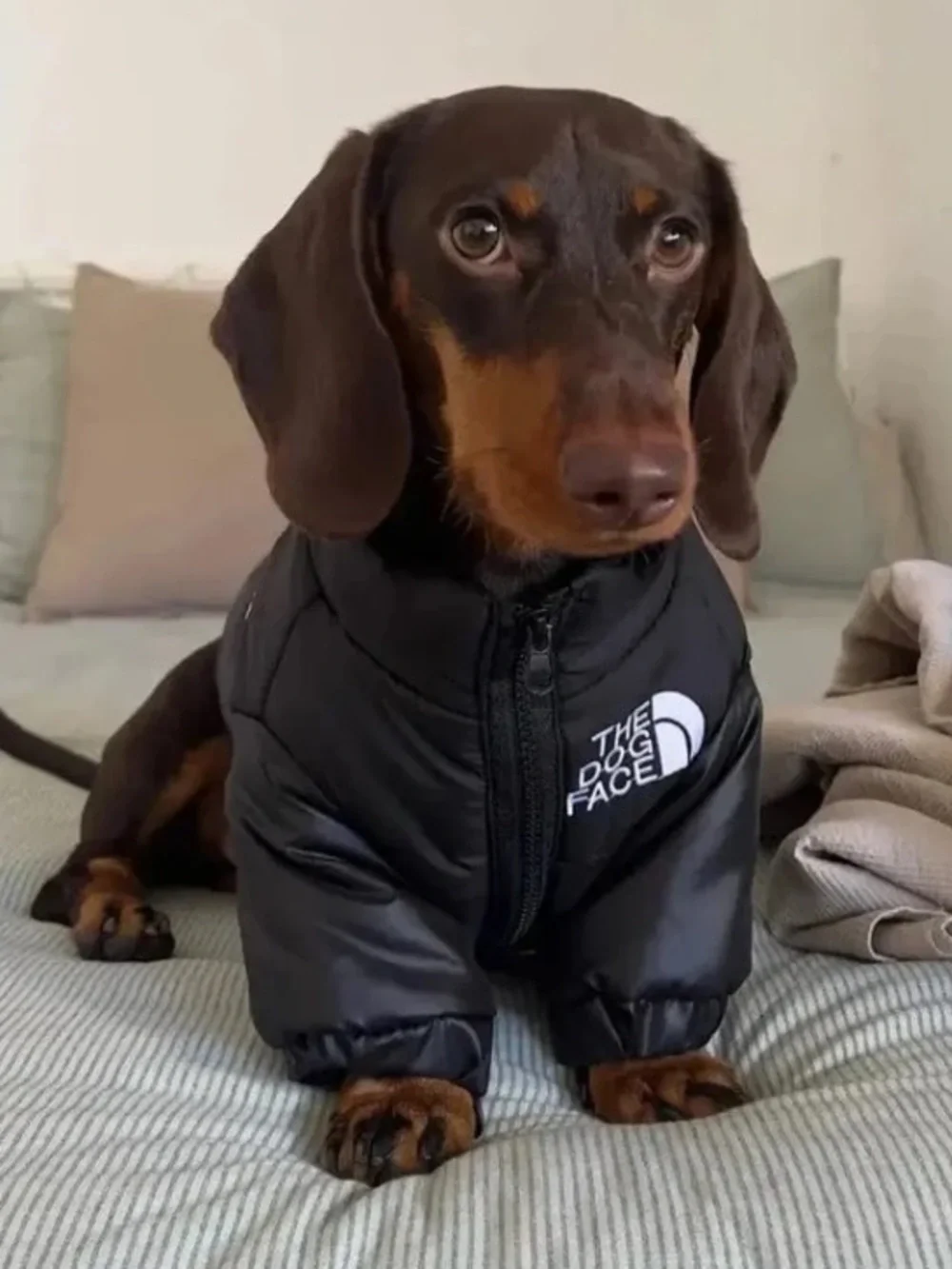 NWT The North Face Green and Black Dog Puffer Jacket XL E7 BIN